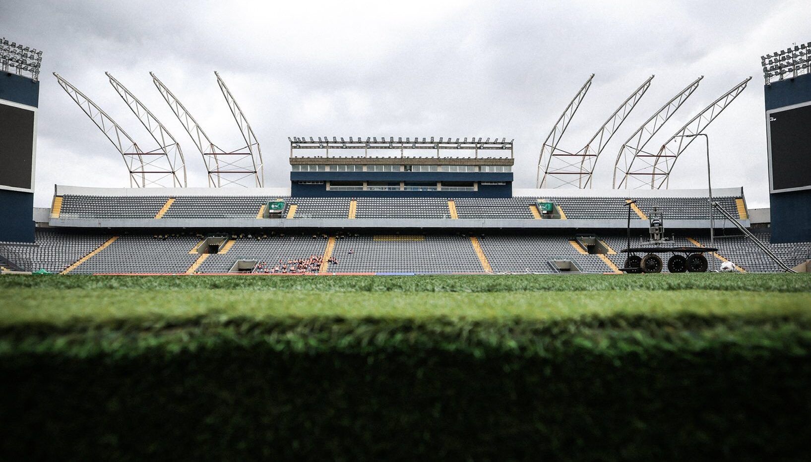 Palmeiras x Cruzeiro: onde assistir ao vivo jogo do Brasileirão e prováveis escalações