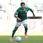Palmeiras é amplo favorito ao título Brasileiro, mas Flamengo segue vivo na disputa; veja as probabilidades