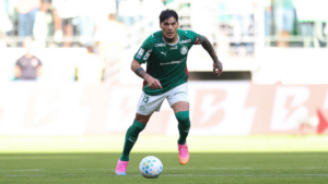 Palmeiras é amplo favorito ao título Brasileiro, mas Flamengo segue vivo na disputa; veja as probabilidades