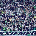 Verde que te quiero verde: Atlético   Nacional recupera la sonrisa.