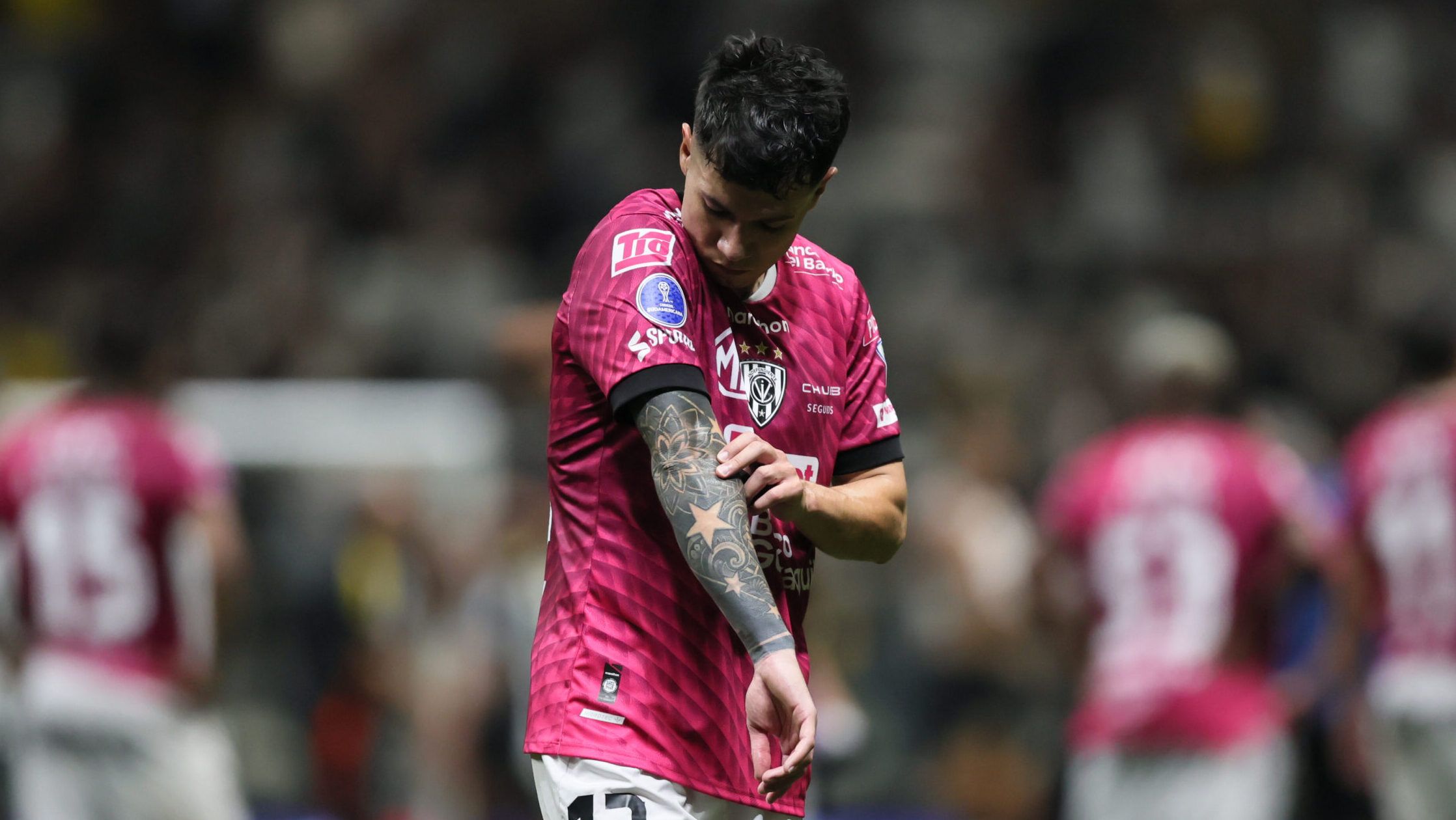 Un campeón de America para Colo Colo: Matias Fernández sería el primer fichaje del Cacique