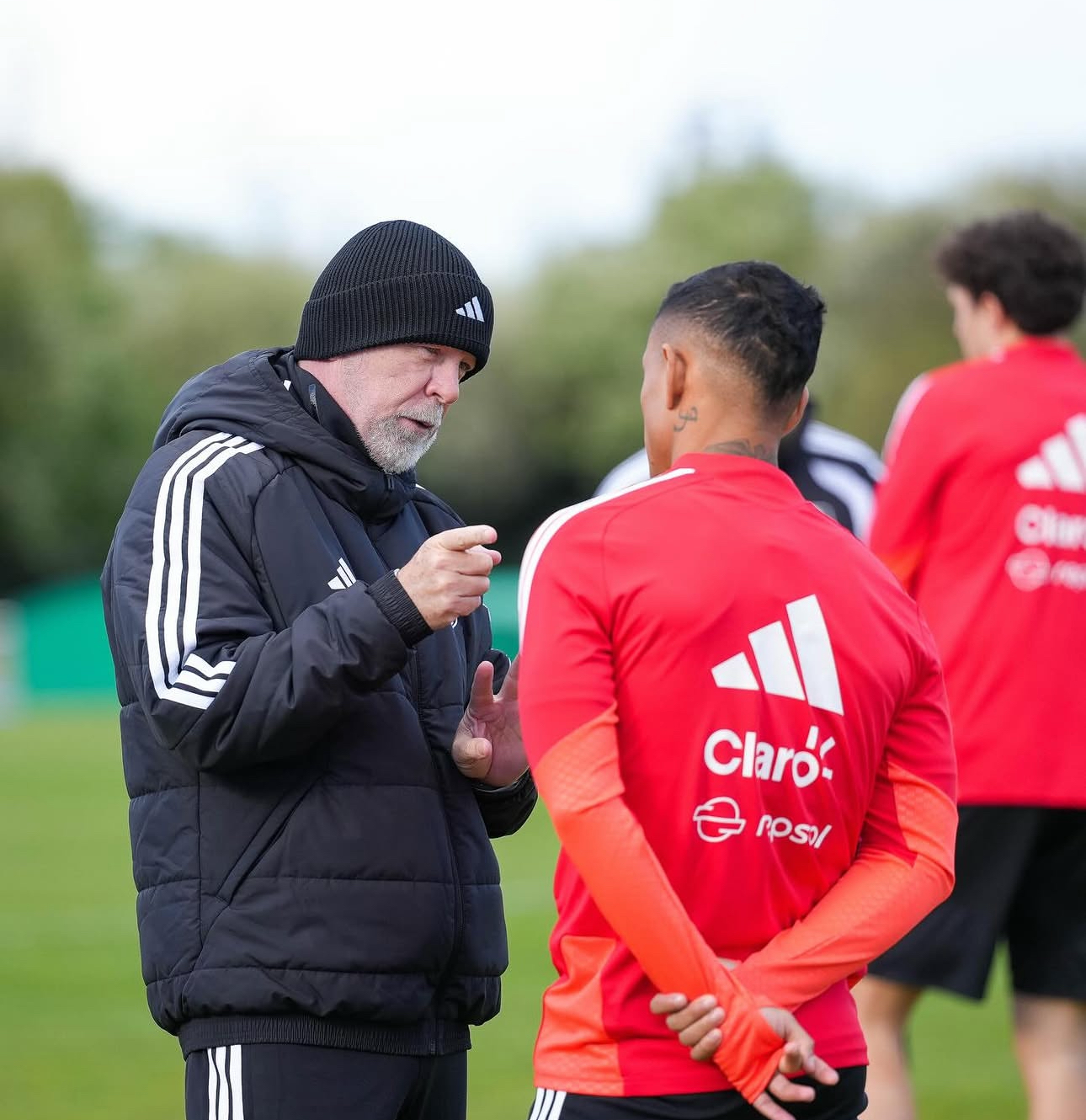 Nueva era en marcha: Menezes tiene su primer ensayo ante Senegal