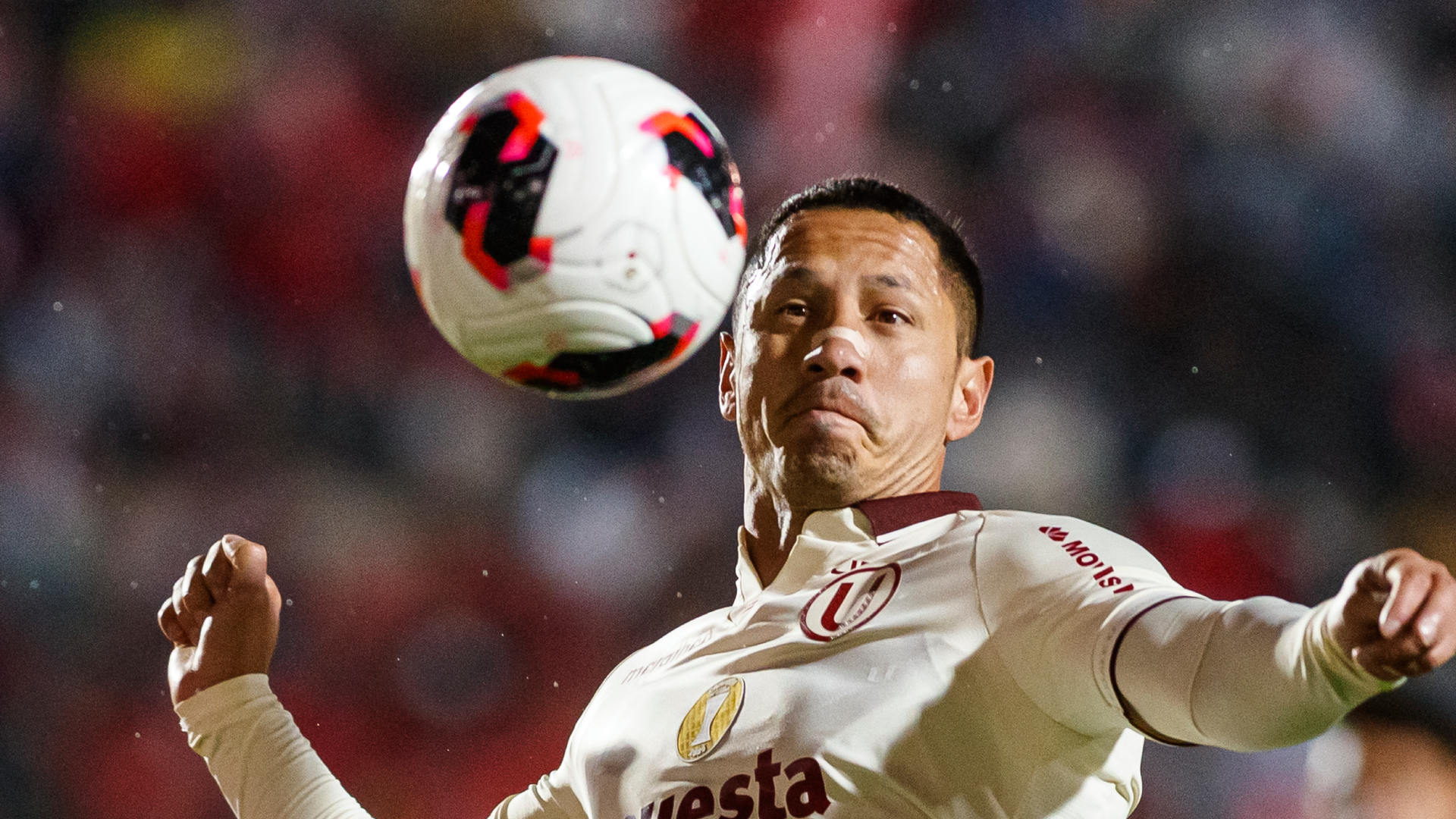 Universitario busca extender el contrato de Gianluca Lapadula: “Lo estamos convenciendo”